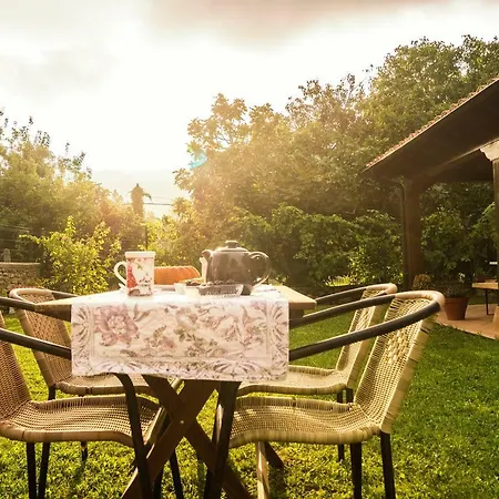 Los Suenos De Mia